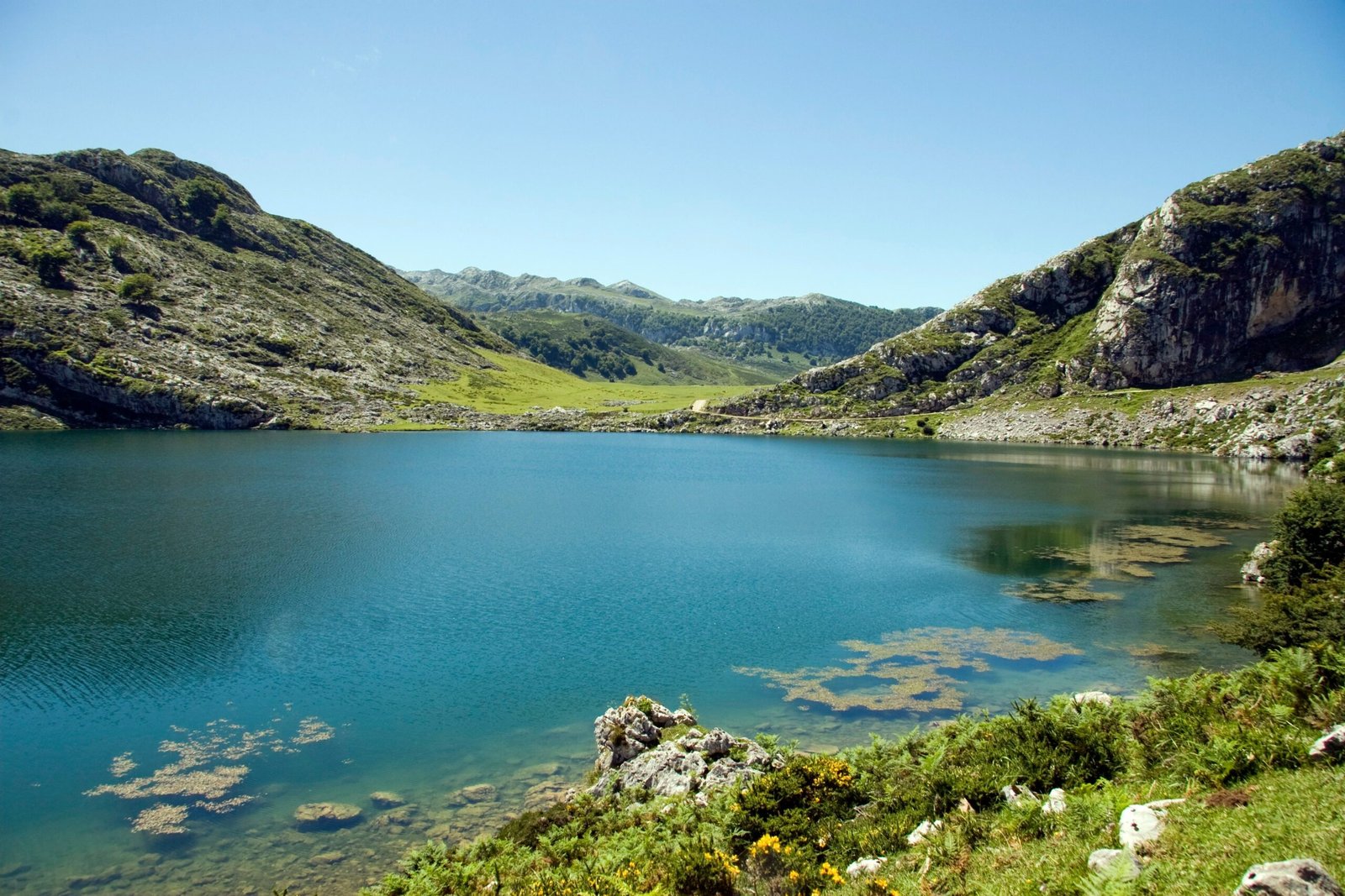 Bilbao Bioszfera Scaled