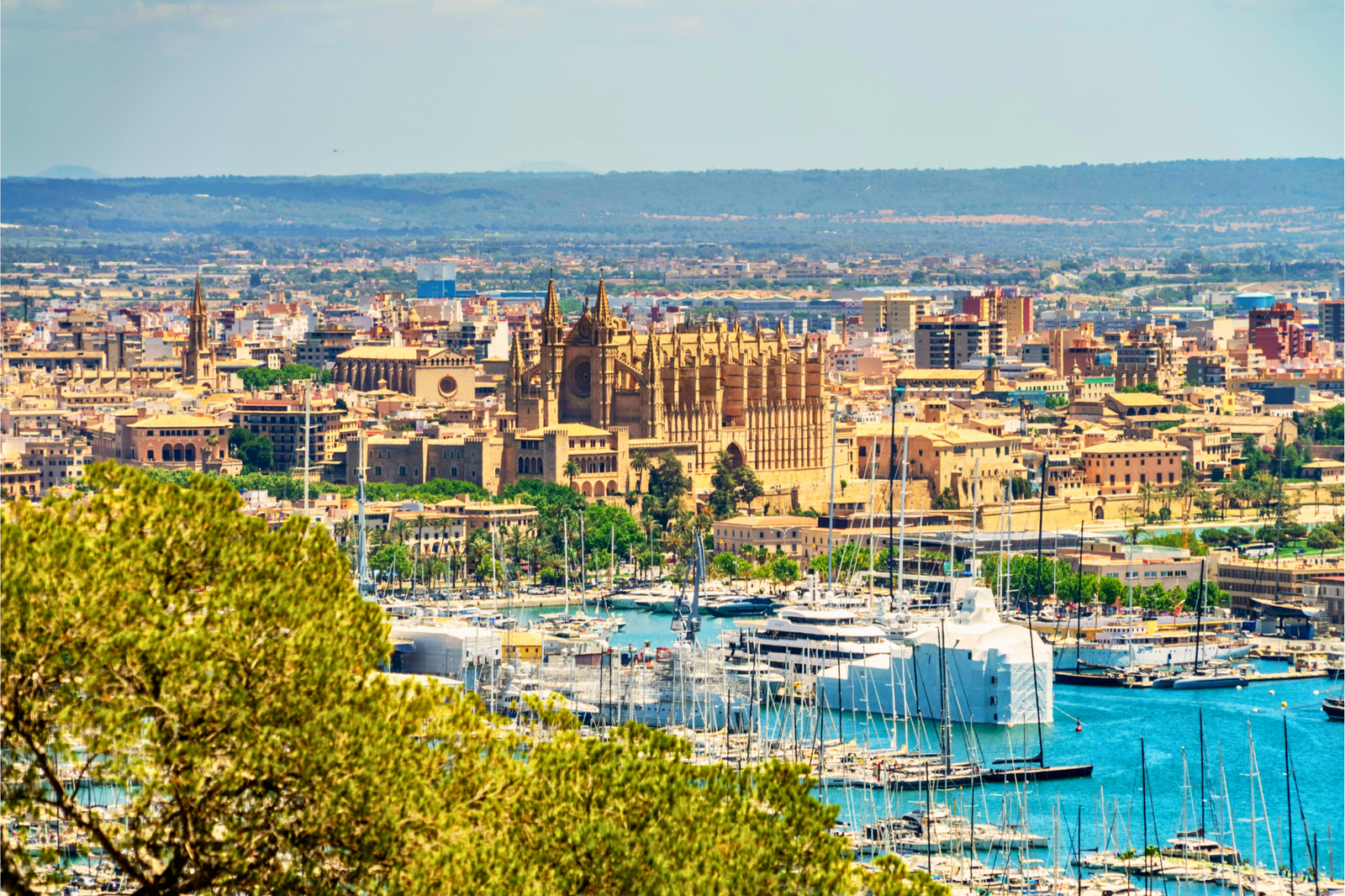 Mallorca Latkep