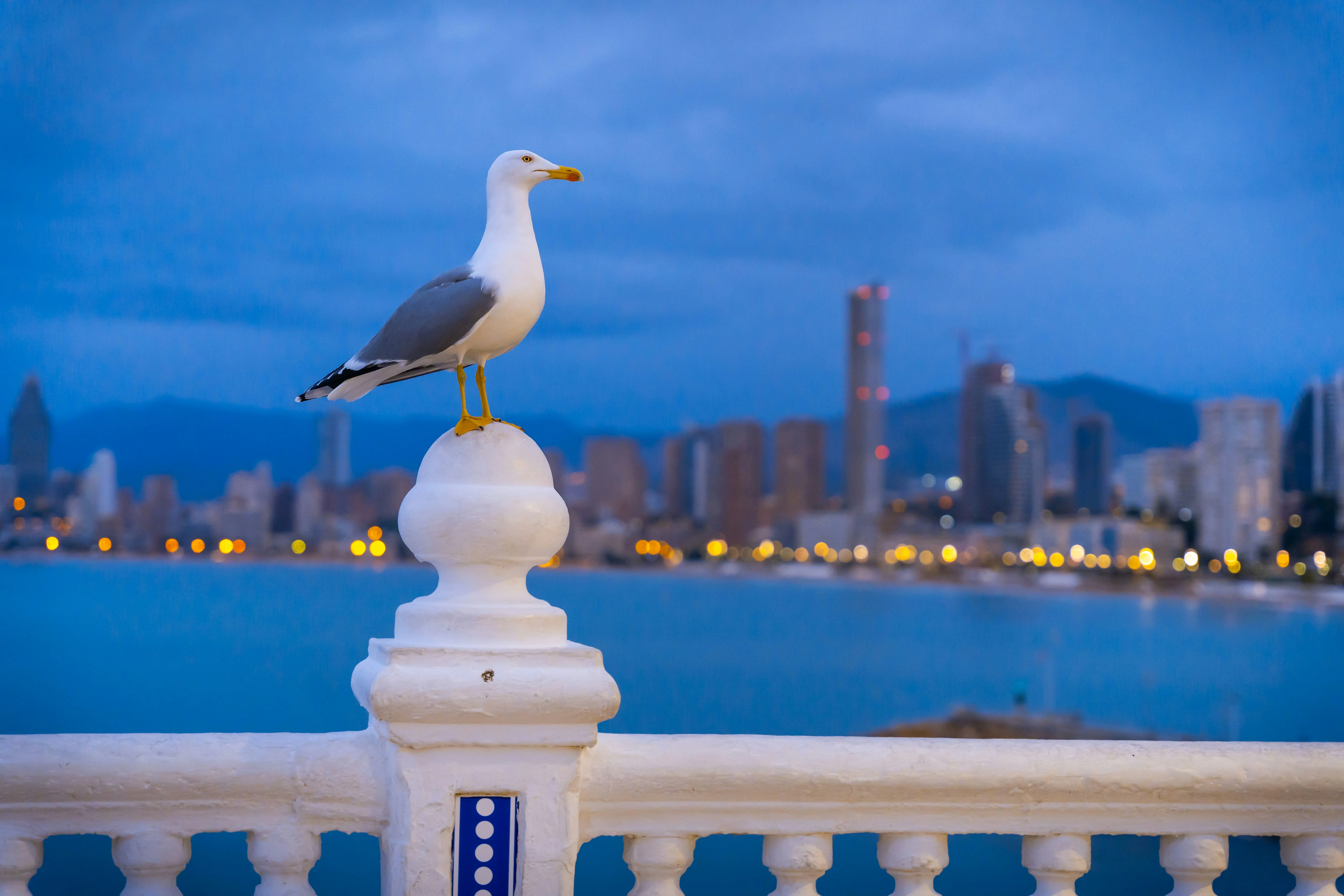 Benidorm Costa Blanca