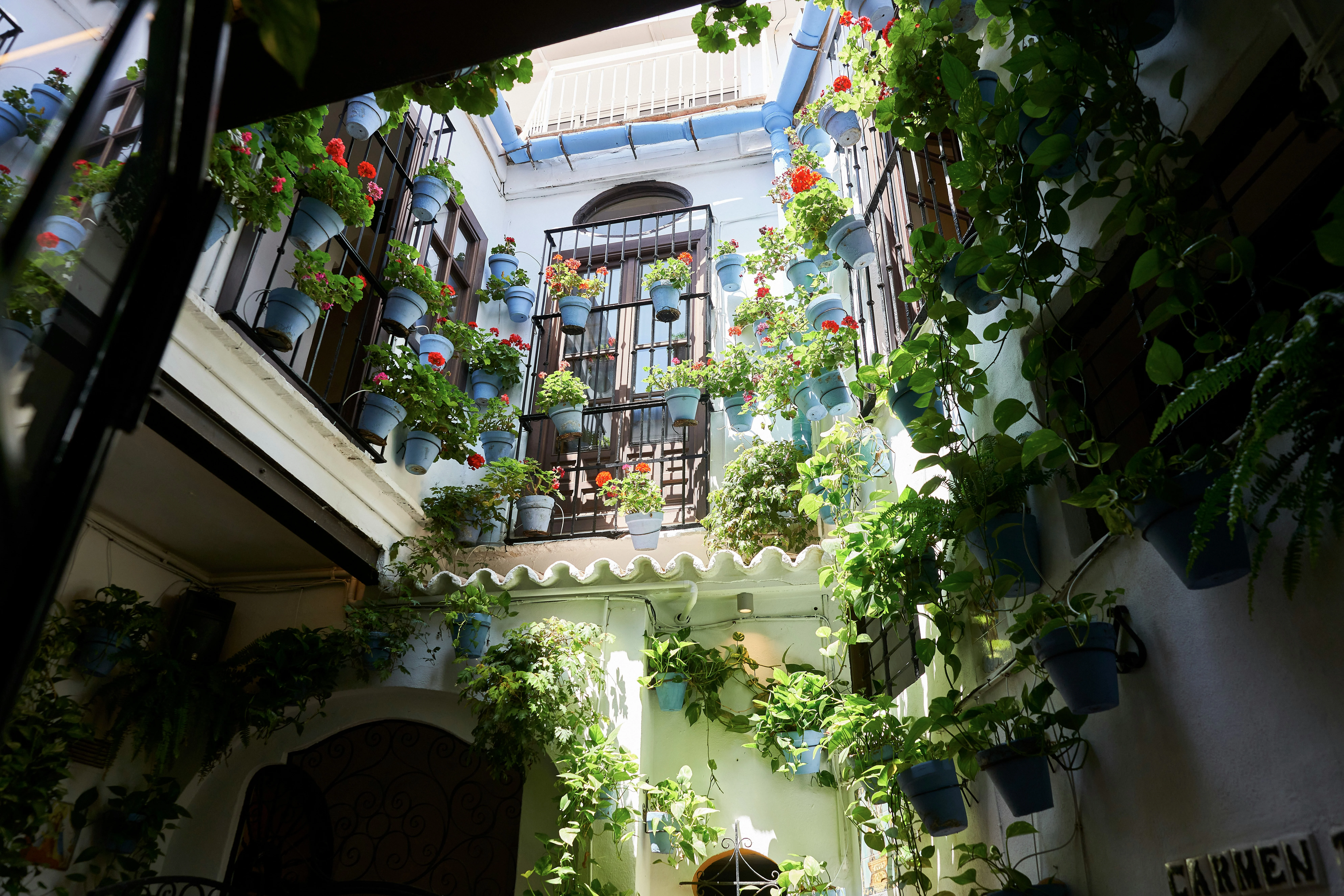 Malaga Terasz